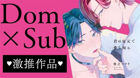 Dom/Subユニバース (どむさぶゆにばーす)とは【ピクシブ百科事。